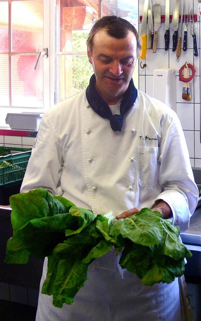 Herr Darms mit frischen Mangoldblättern