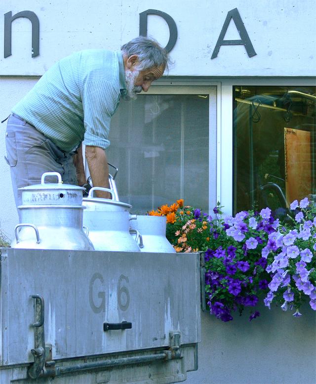 Milchanlieferung bei der Sennerei Andeer